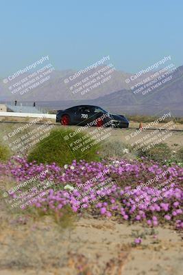 media/Jan-29-2023-PCA San Diego (Sun) [[aa0301ccc2]]/Yellow Group/Session 1 (Turn 15 Bloom)/